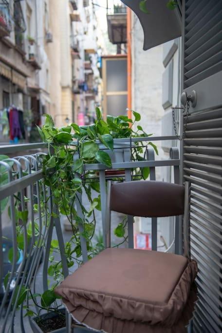 Casabarina Live In The Center Of Appartement *